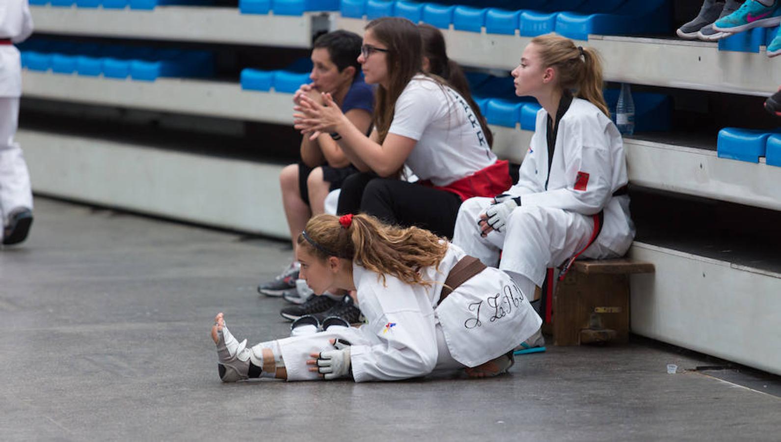 Torneo de la Vendimia de taekwondo