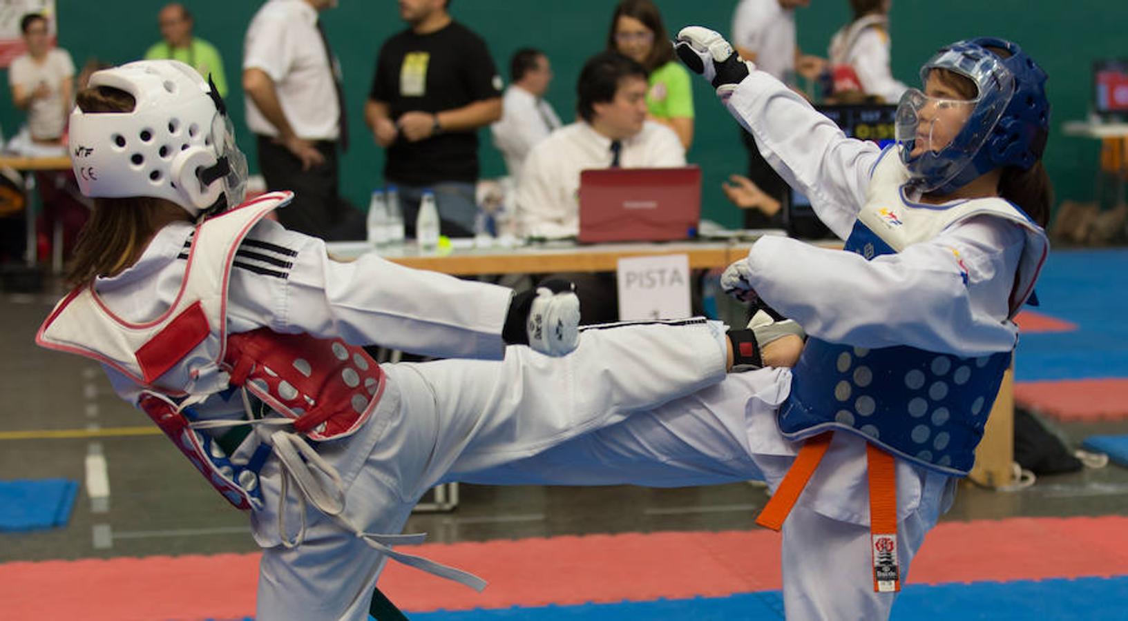 Torneo de la Vendimia de taekwondo