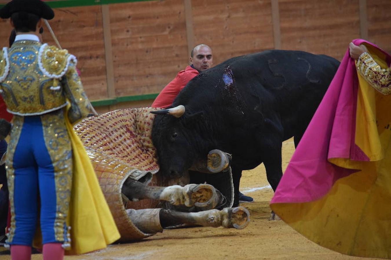 Última novillada de Arnedo