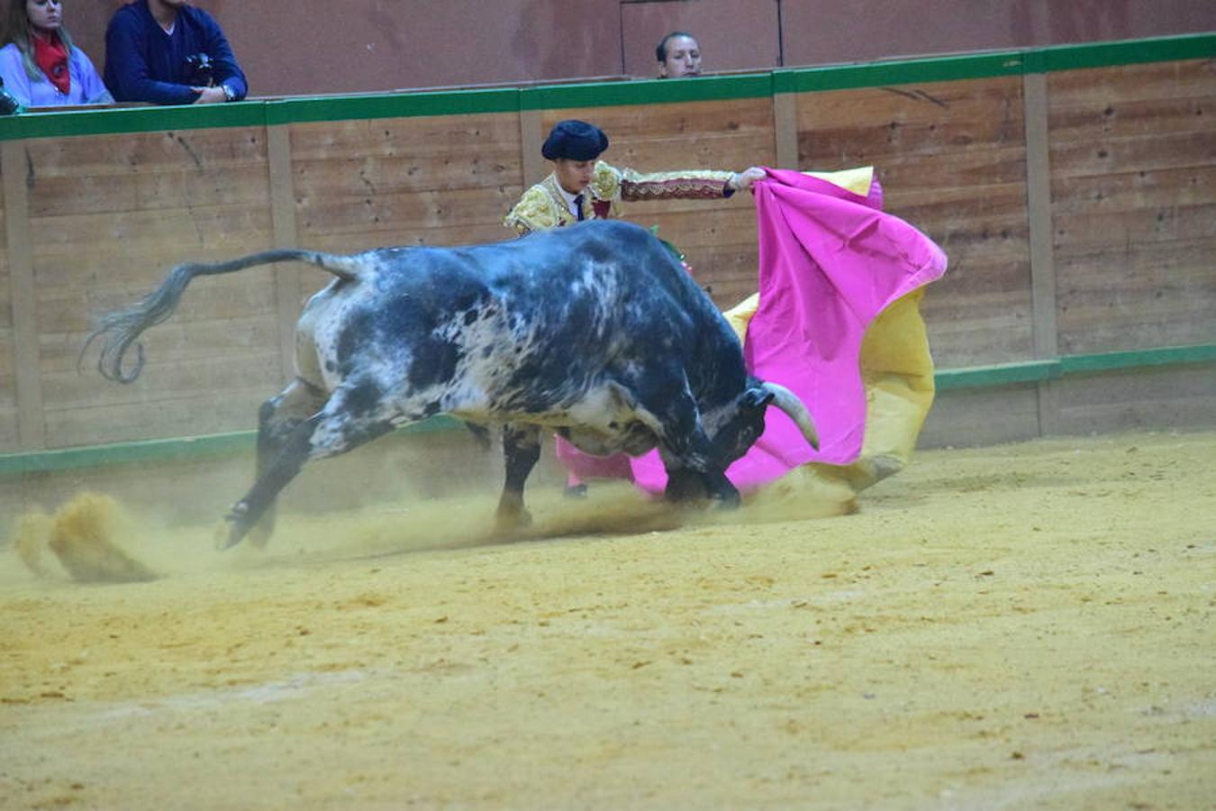 Última novillada de Arnedo