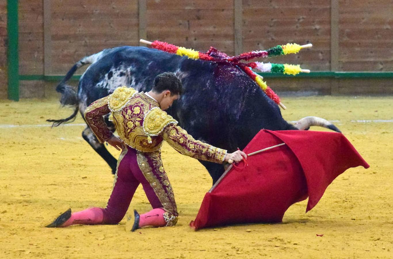 Última novillada de Arnedo