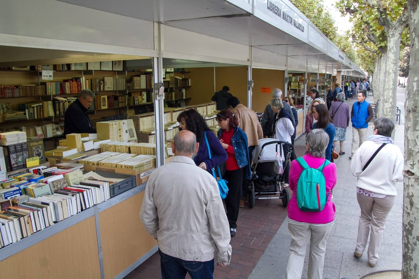 Arranca la Feria del Libro Antiguo y de Ocasión de Logroño