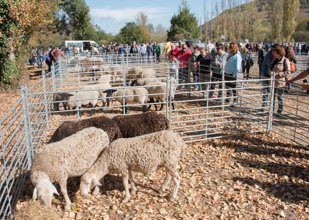 Feria de artesanía y ganadería en Ojacastro