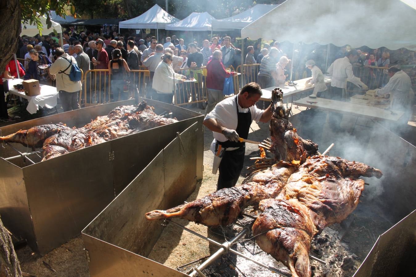 Jornada de la Ternera Asada en Enciso