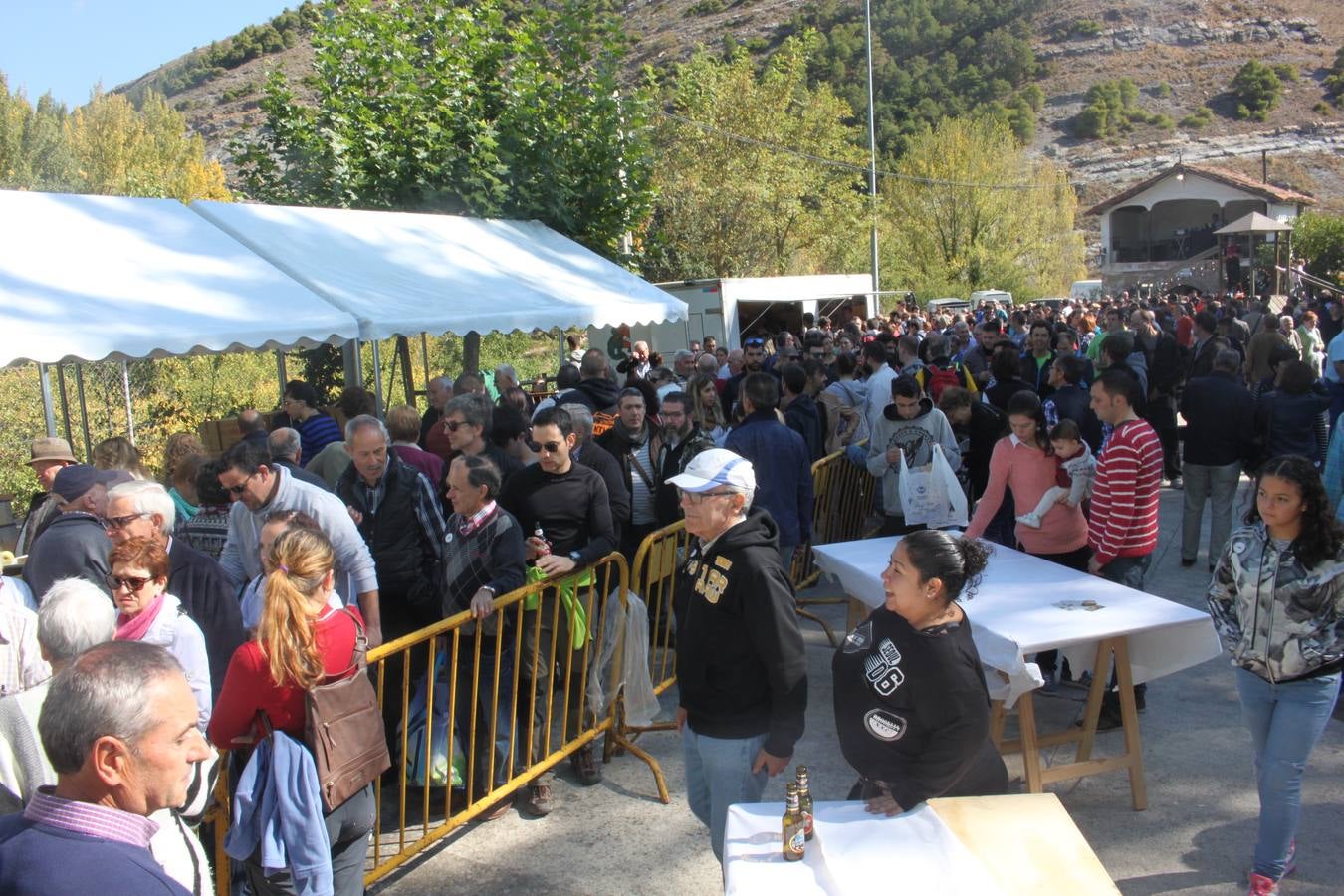 Jornada de la Ternera Asada en Enciso