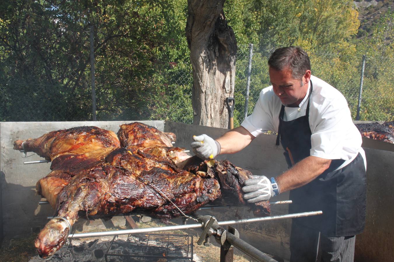 Jornada de la Ternera Asada en Enciso