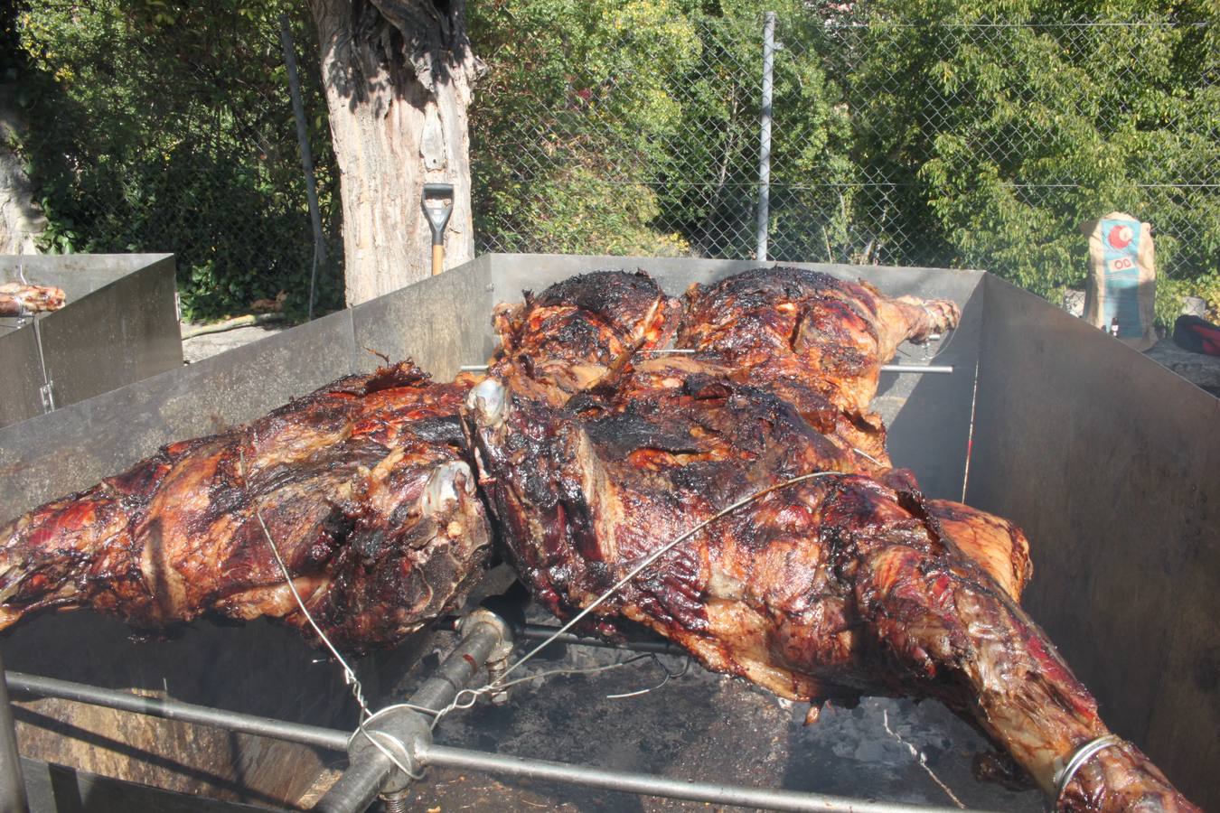 Jornada de la Ternera Asada en Enciso