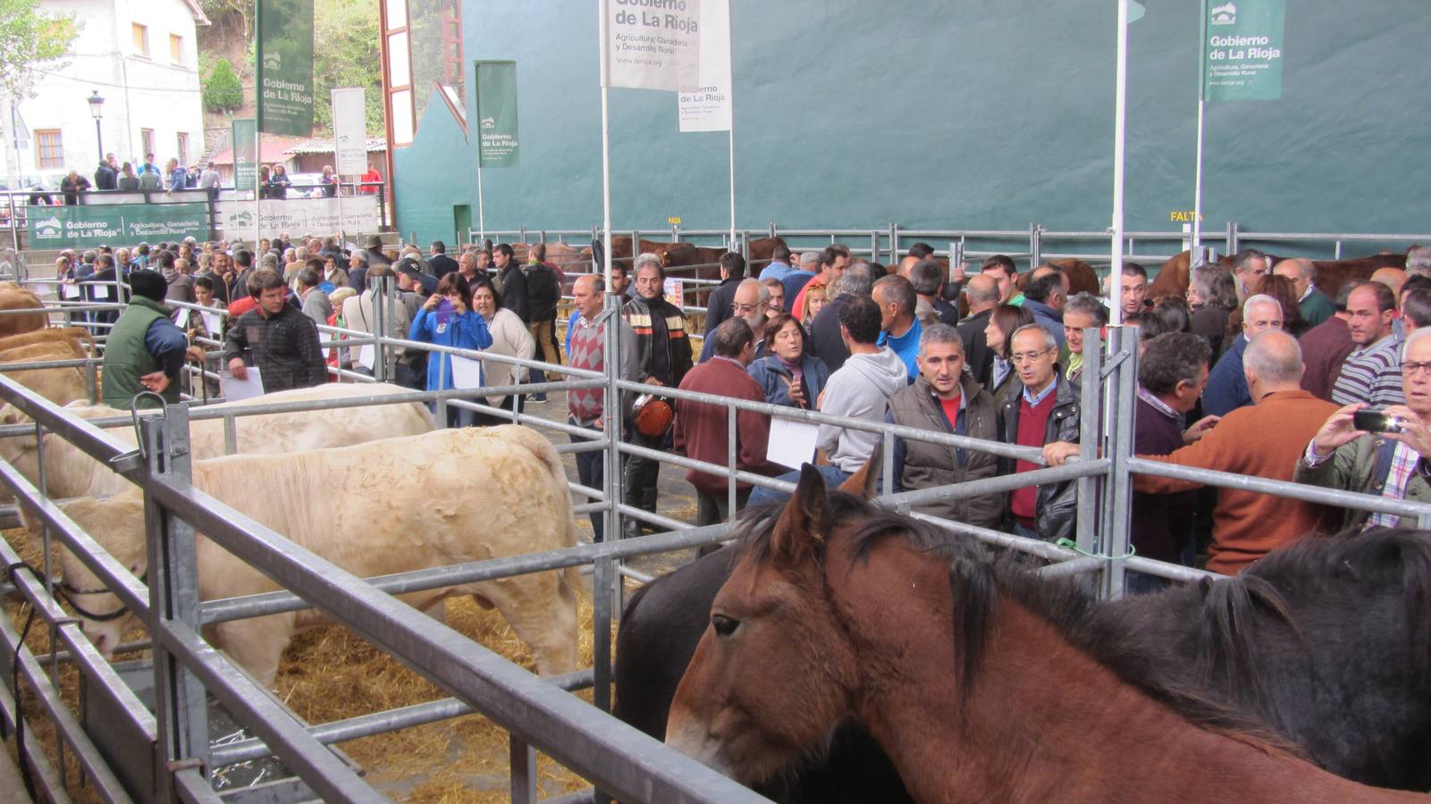 Feria de Ganado Selecto del Camero Nuevo