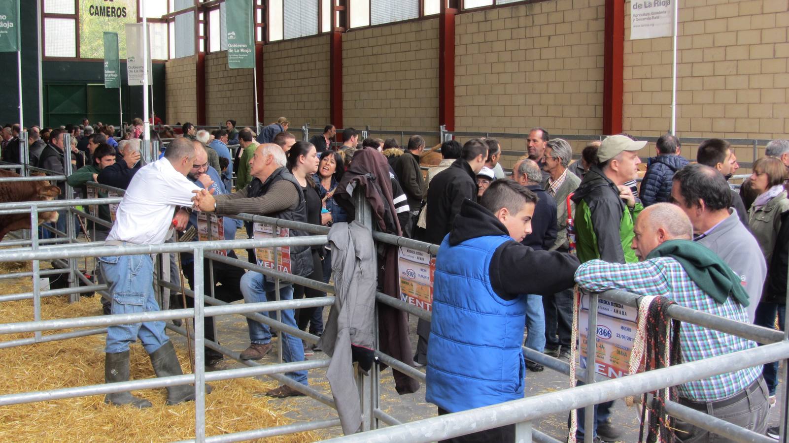 Feria de Ganado Selecto del Camero Nuevo