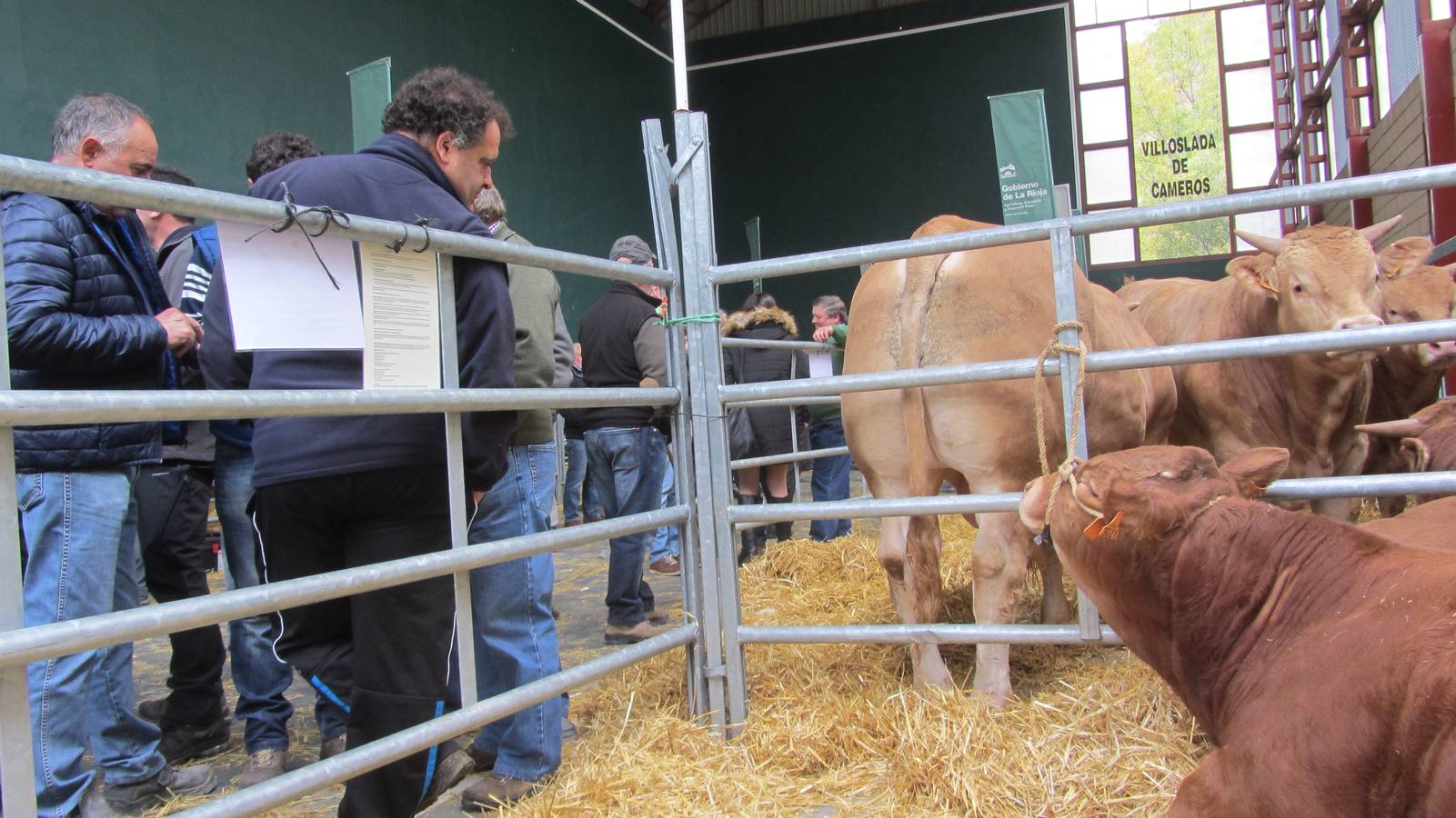 Feria de Ganado Selecto del Camero Nuevo