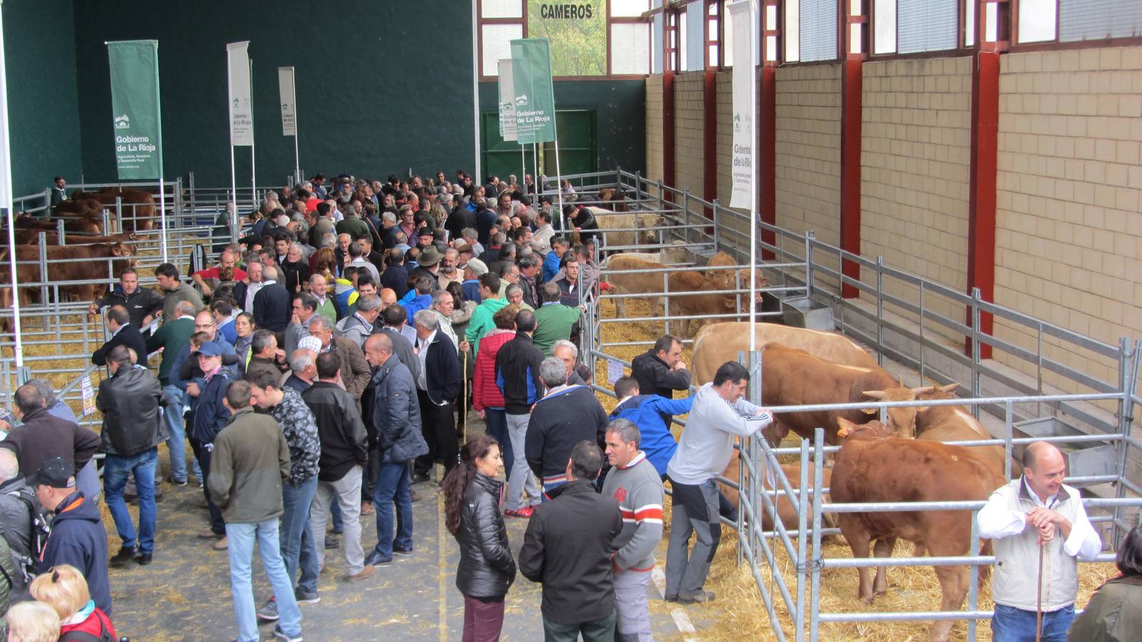 Feria de Ganado Selecto del Camero Nuevo