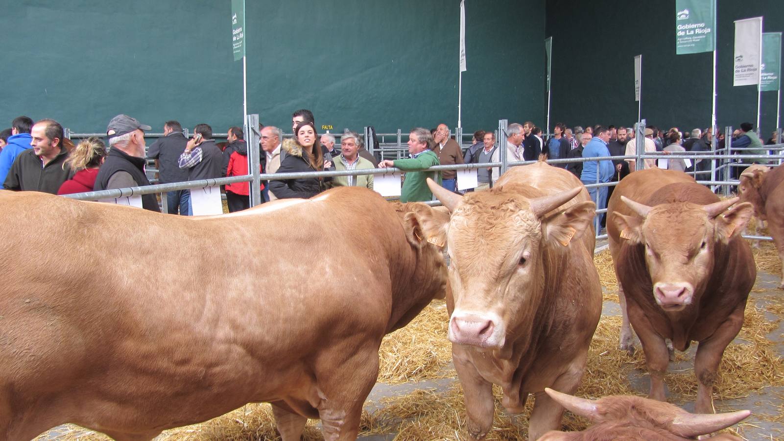 Feria de Ganado Selecto del Camero Nuevo