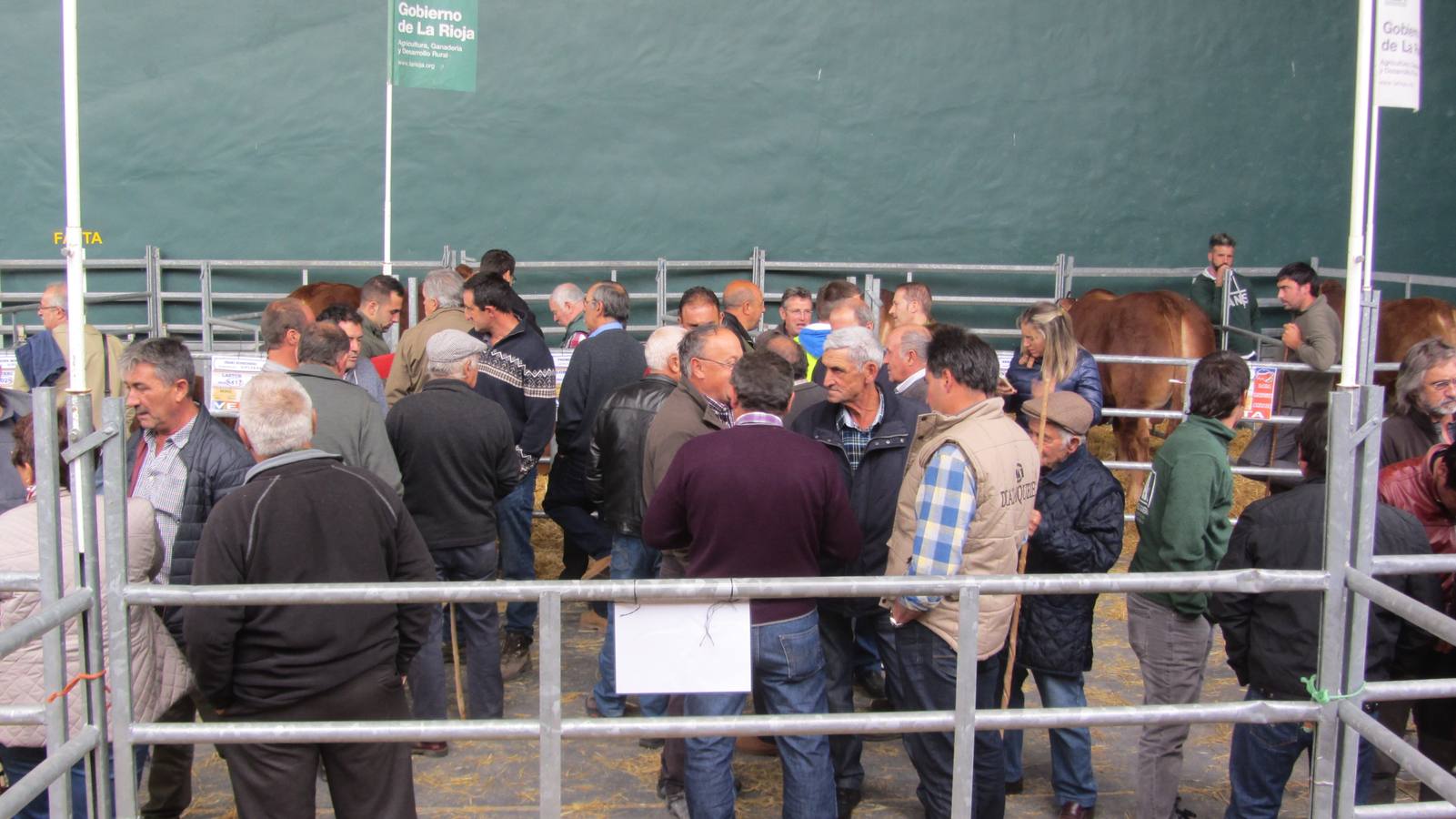 Feria de Ganado Selecto del Camero Nuevo