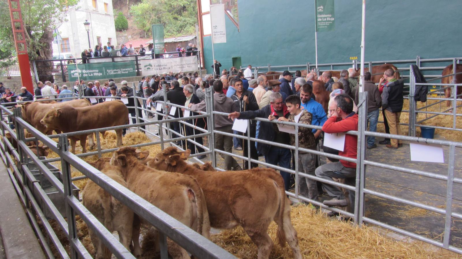 Feria de Ganado Selecto del Camero Nuevo