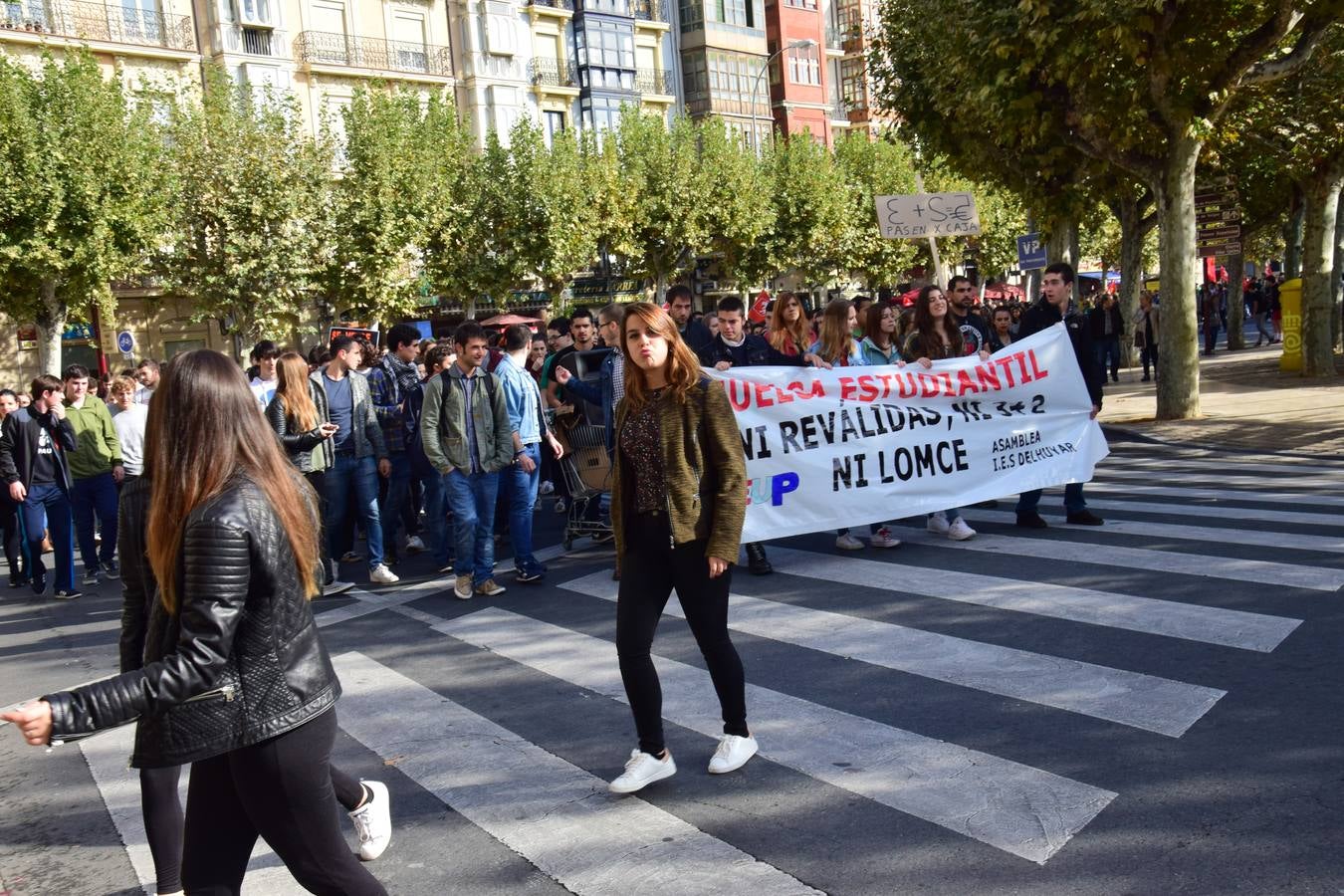 Manifestación de estudiantes en Logroño contra las reválidas y la LOMCE