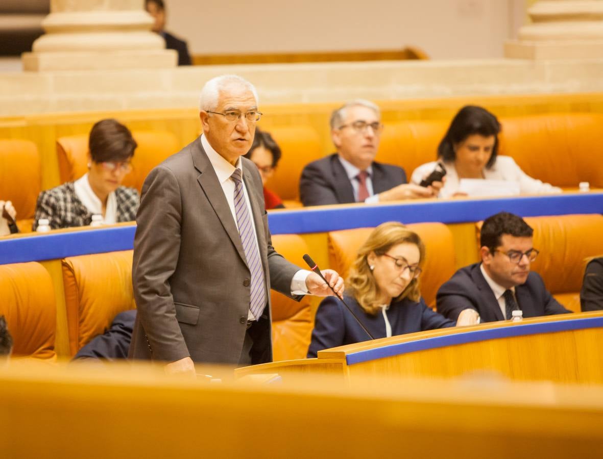 Los gestos del Pleno en el Parlamento riojano