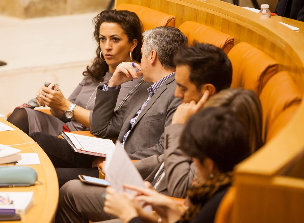 Los gestos del Pleno en el Parlamento riojano