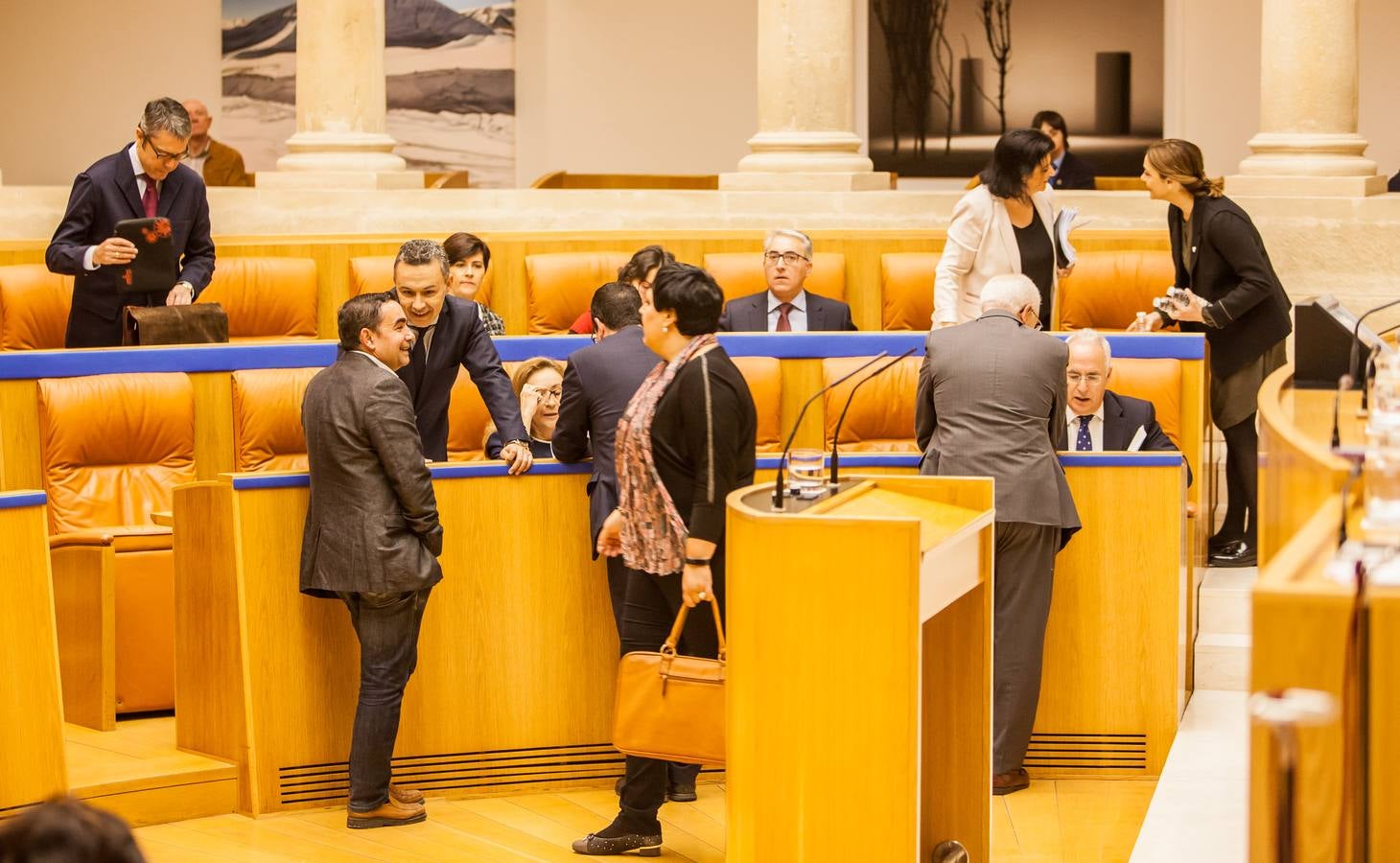 Los gestos del Pleno en el Parlamento riojano