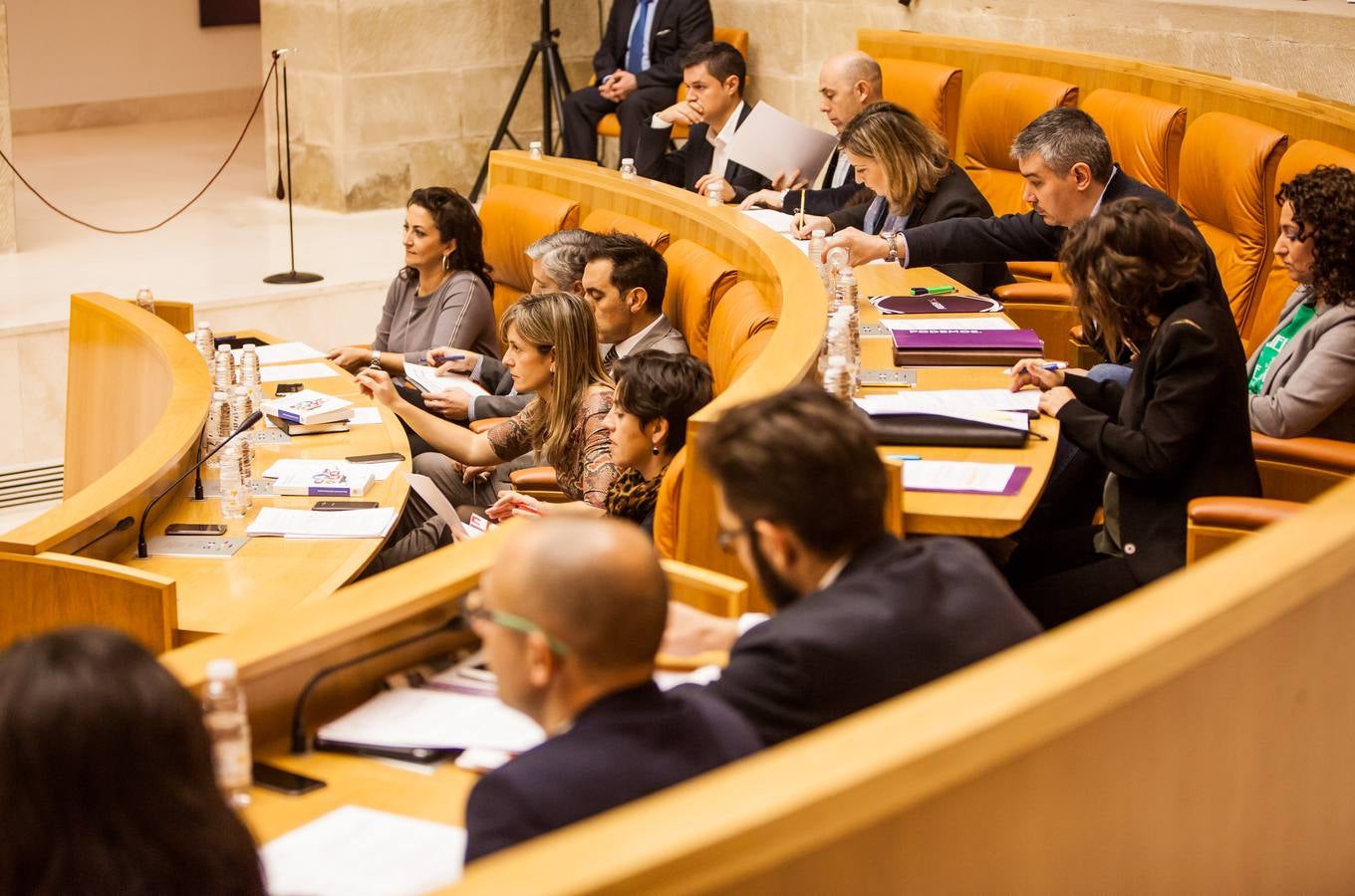 Los gestos del Pleno en el Parlamento riojano