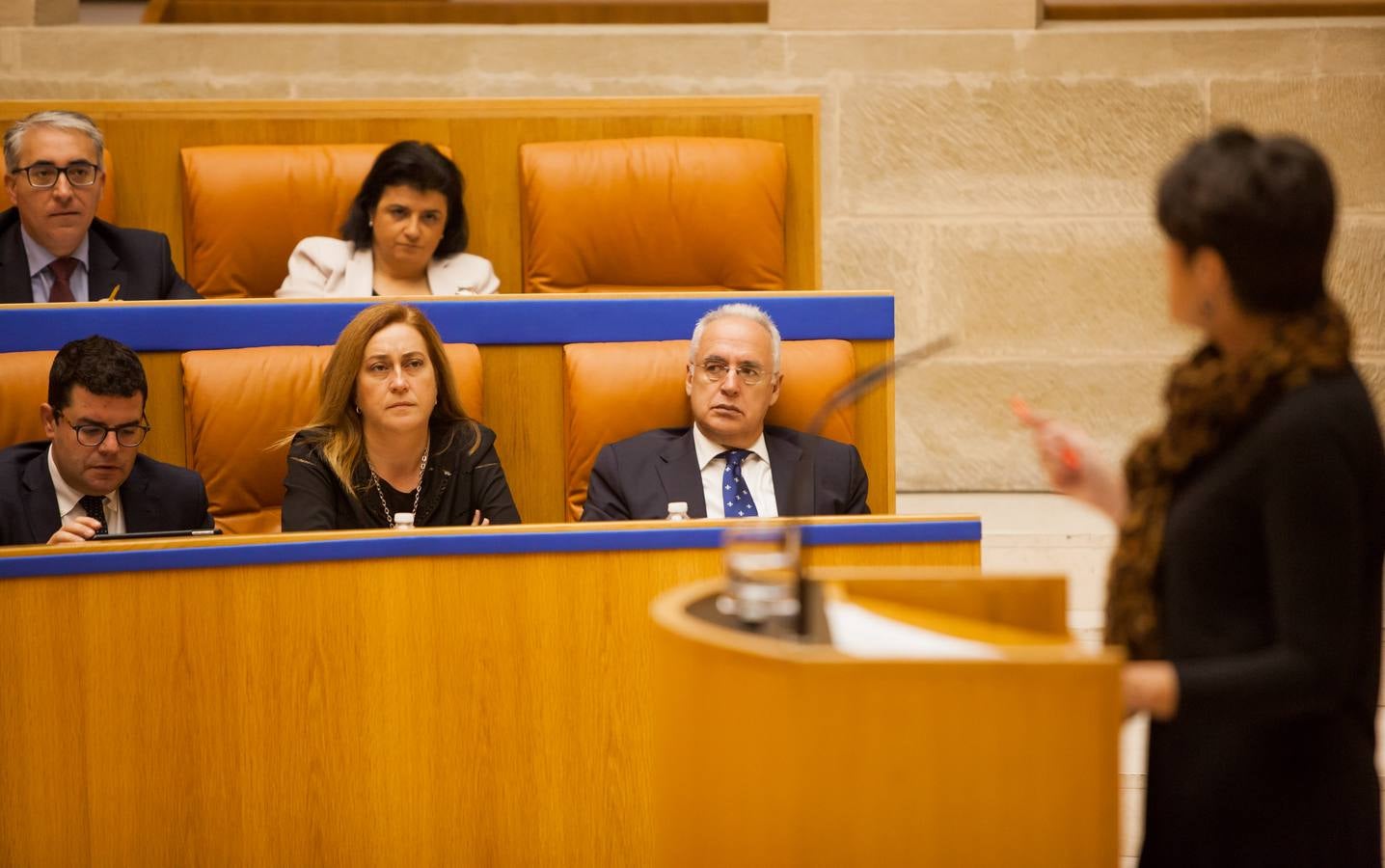 Los gestos del Pleno en el Parlamento riojano