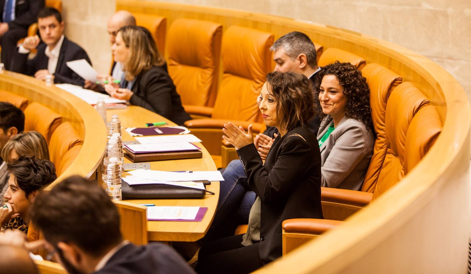 Los gestos del Pleno en el Parlamento riojano