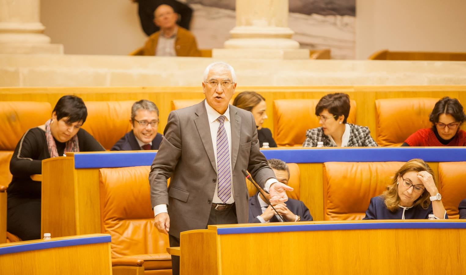 Los gestos del Pleno en el Parlamento riojano