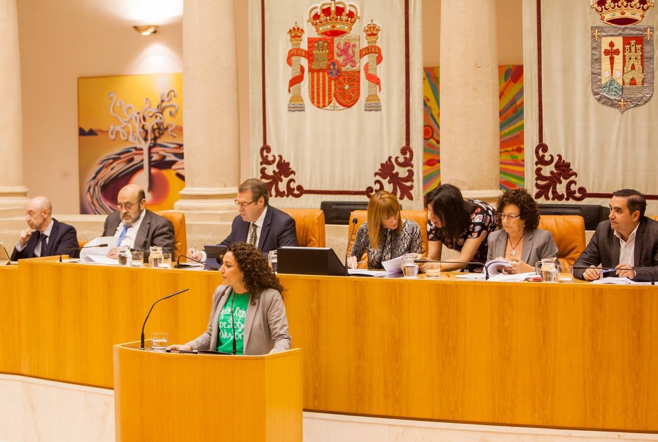 Los gestos del Pleno en el Parlamento riojano