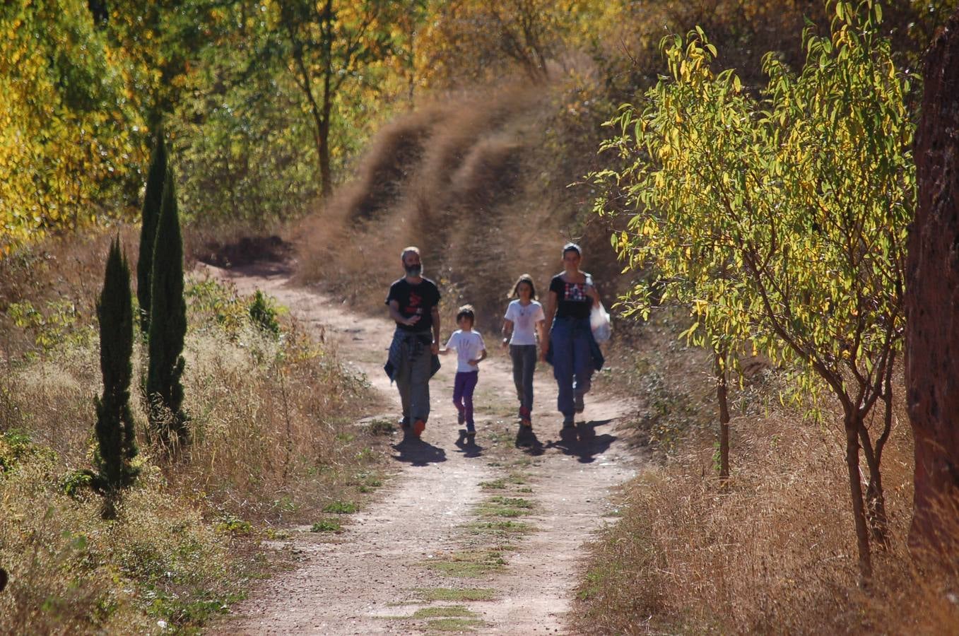 2ª marcha por el Camino Real de San Millán a Nájera