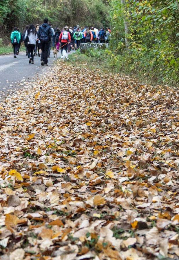 El otoño cambia el paisaje riojano