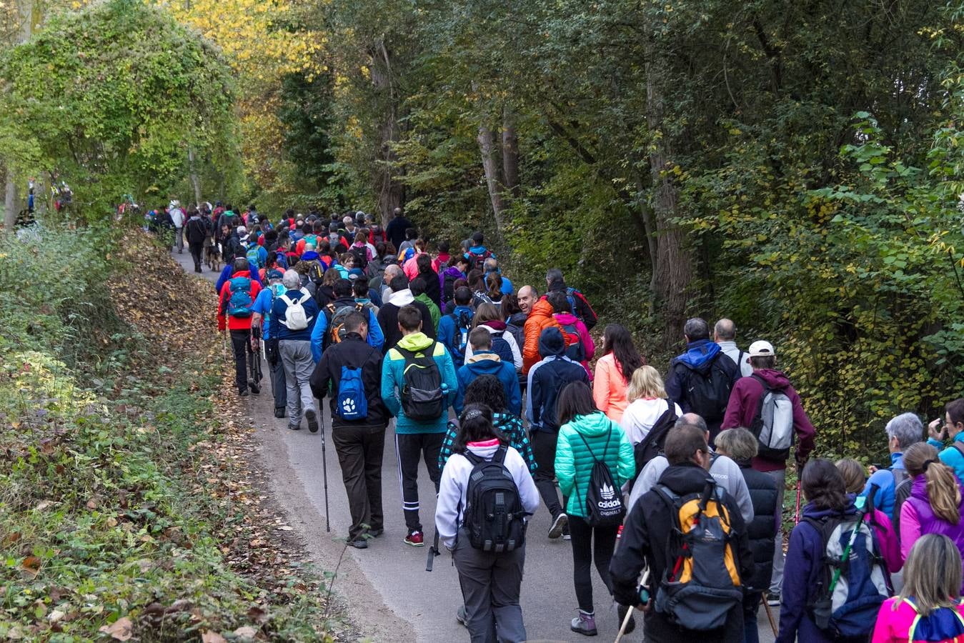 El otoño cambia el paisaje riojano