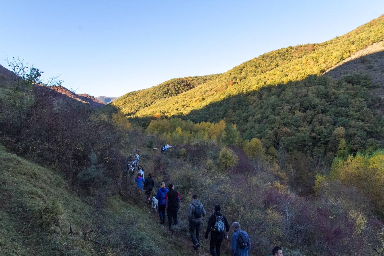 El otoño cambia el paisaje riojano