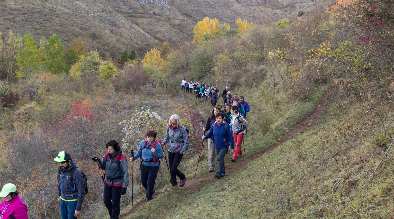 El otoño cambia el paisaje riojano