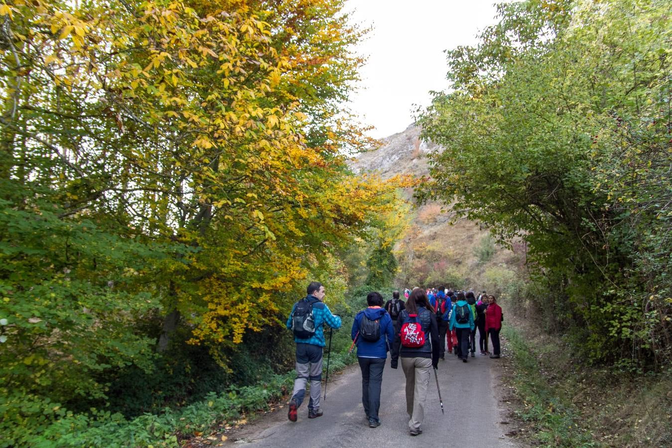 El otoño cambia el paisaje riojano