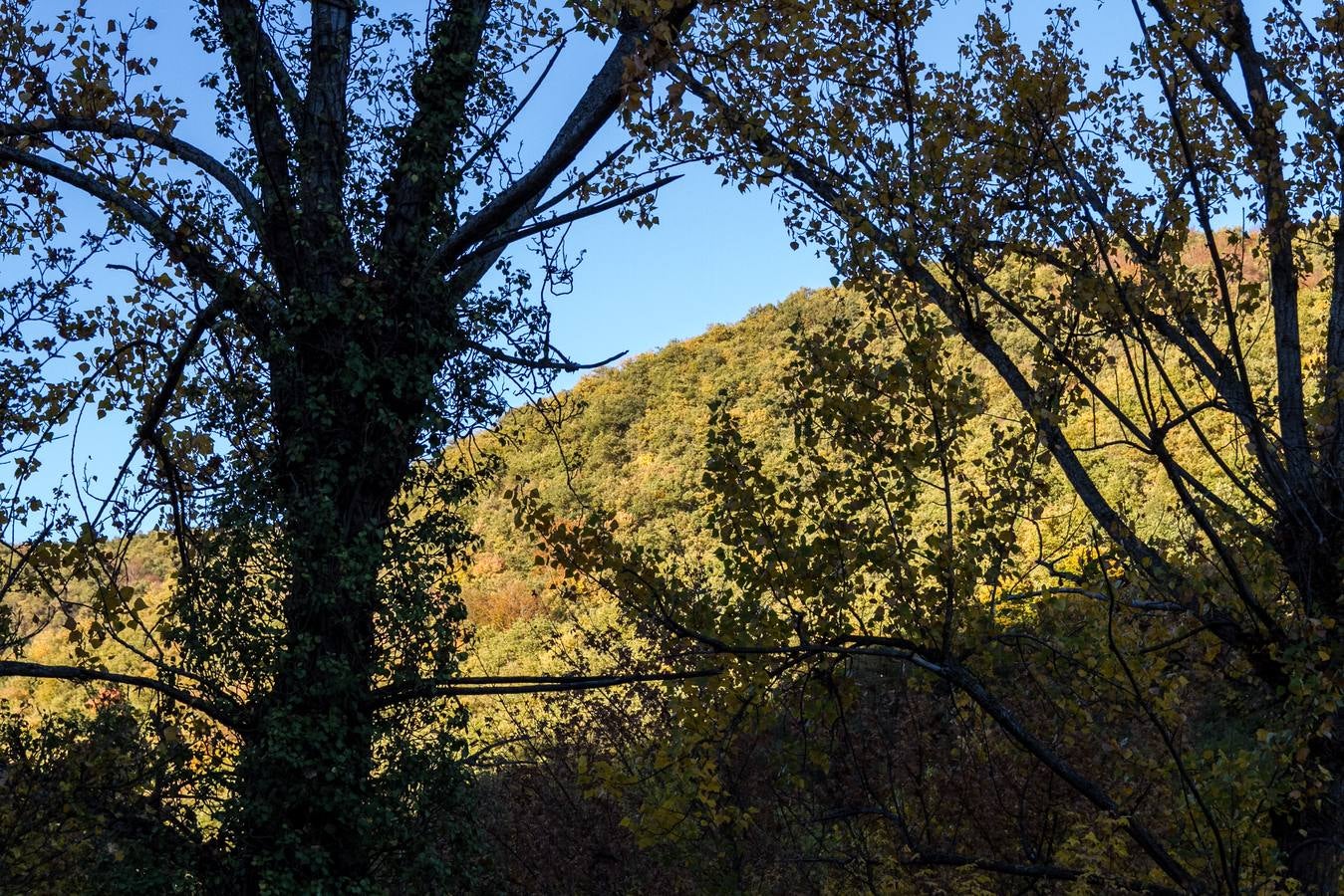 El otoño cambia el paisaje riojano