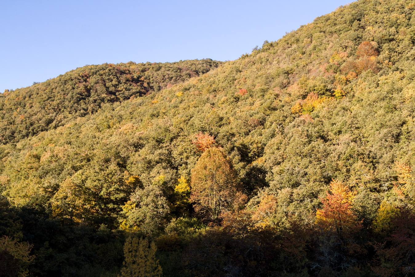 El otoño cambia el paisaje riojano