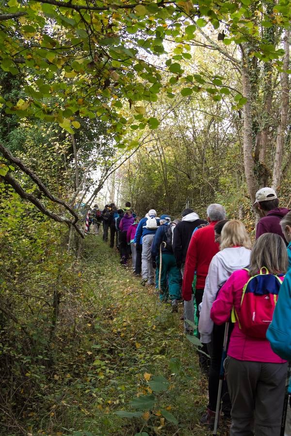 El otoño cambia el paisaje riojano