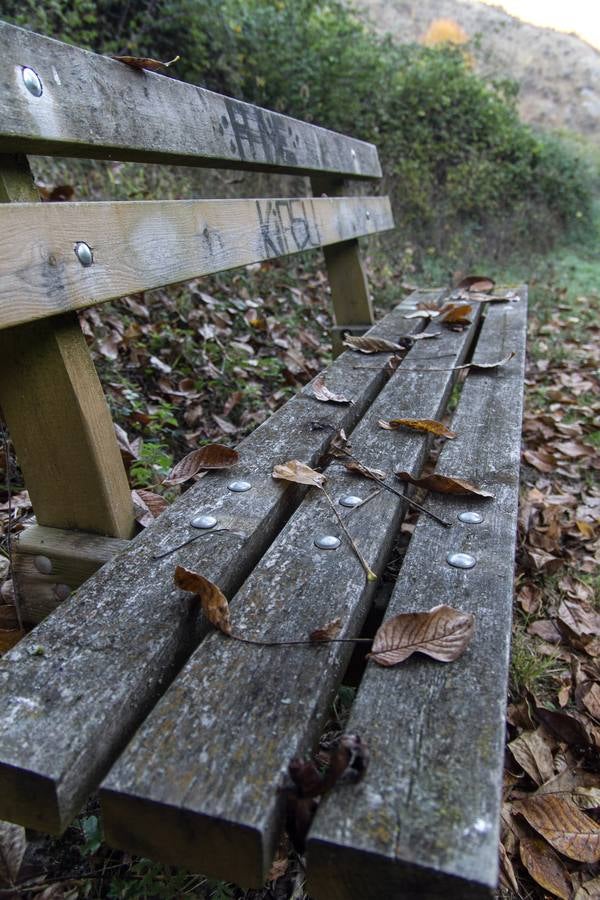 El otoño cambia el paisaje riojano