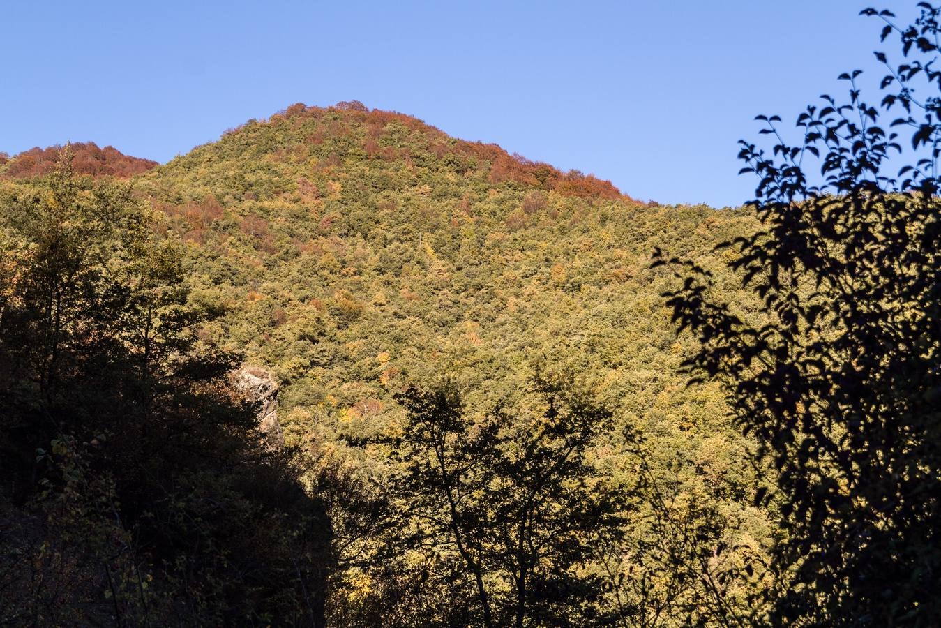 El otoño cambia el paisaje riojano