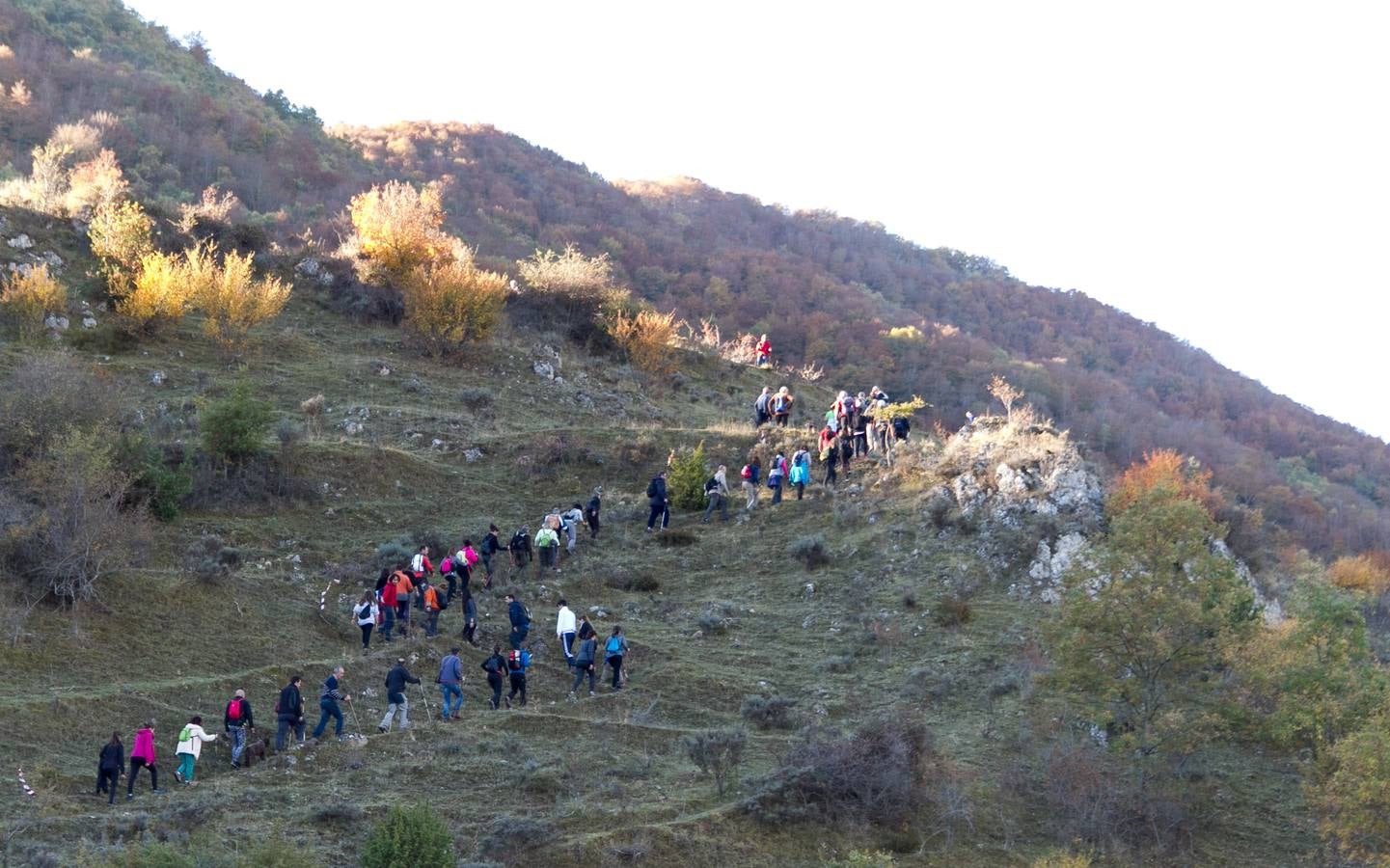 El otoño cambia el paisaje riojano