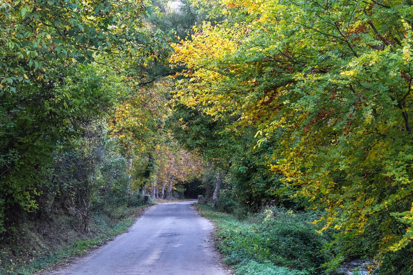 El otoño cambia el paisaje riojano