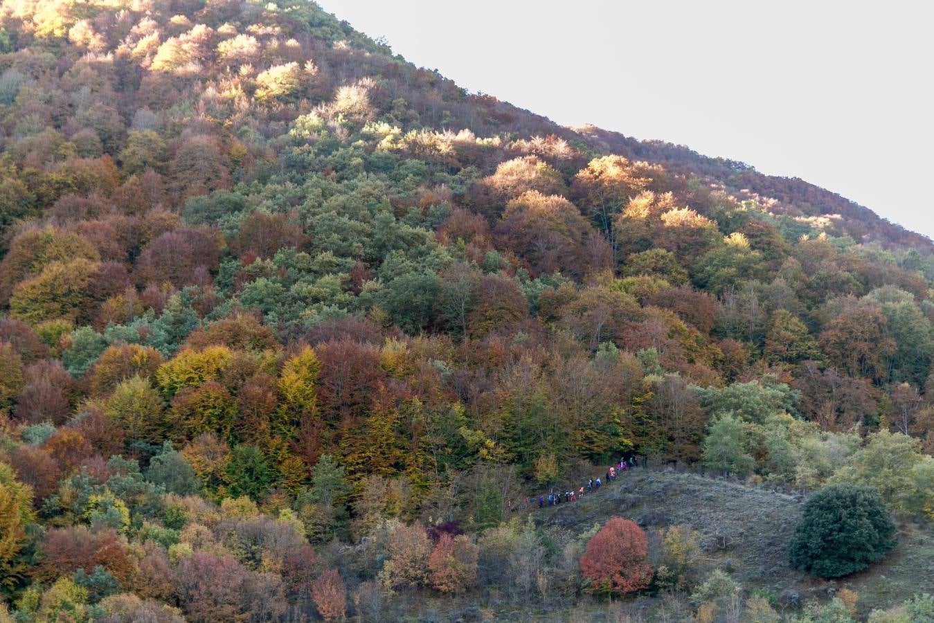 El otoño cambia el paisaje riojano