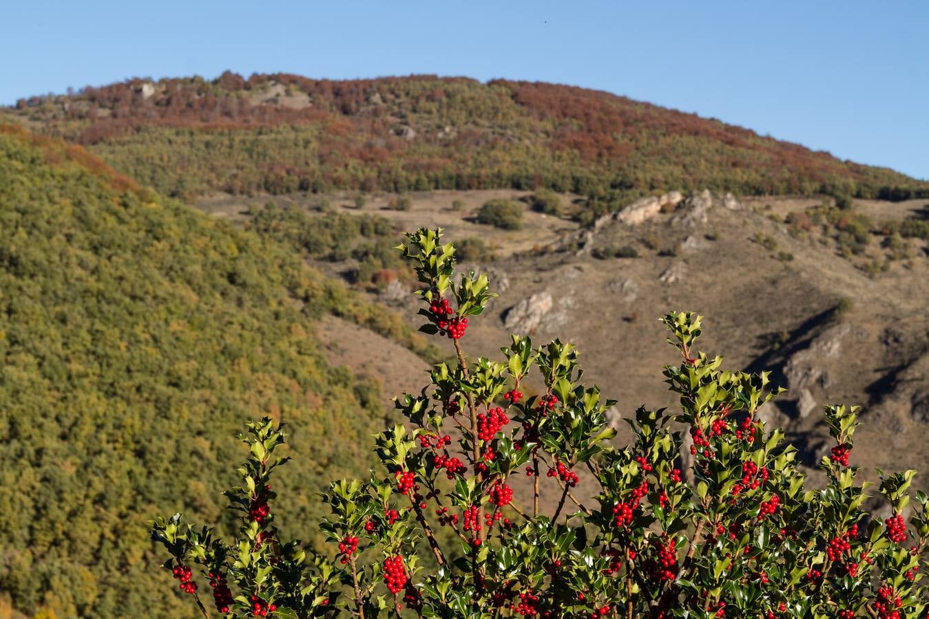 El otoño cambia el paisaje riojano