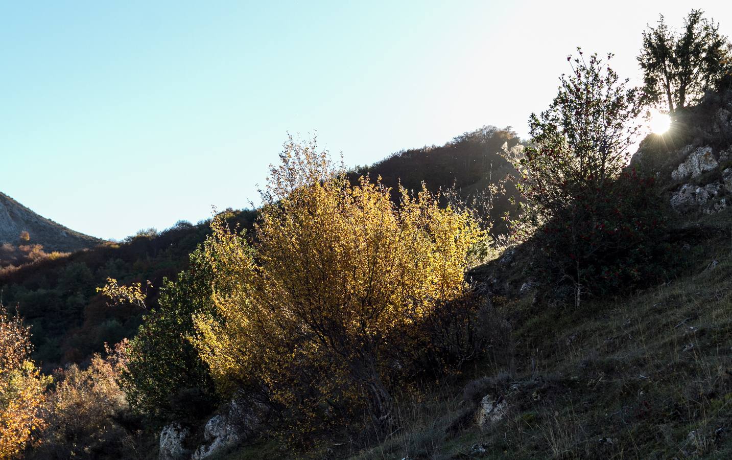 El otoño cambia el paisaje riojano