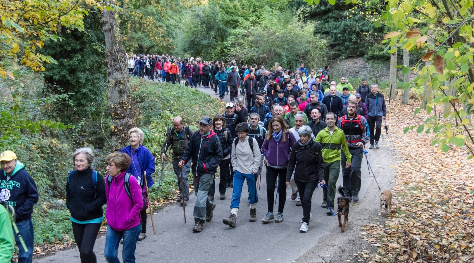 El otoño cambia el paisaje riojano