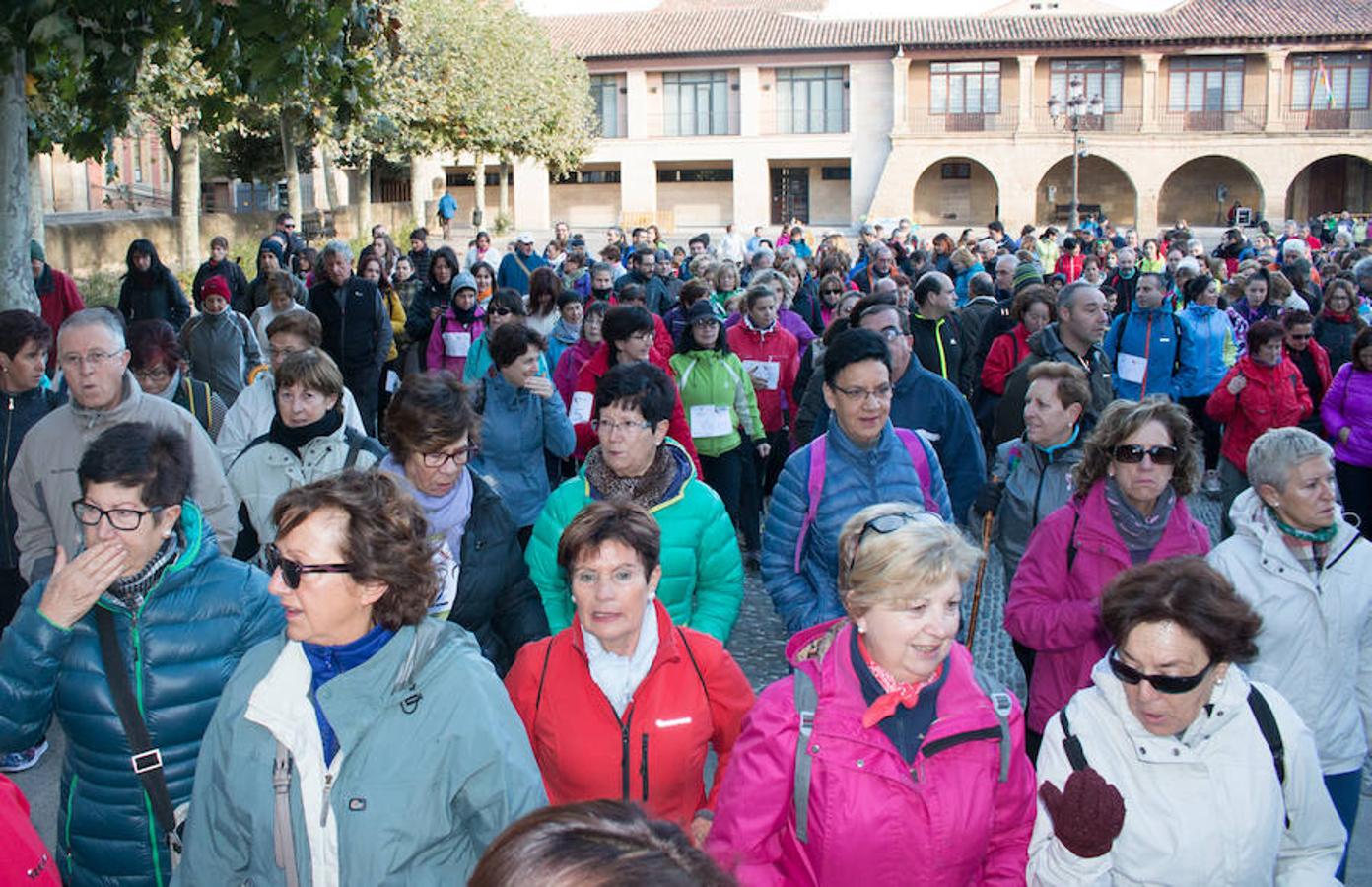 Paseo contra el cáncer