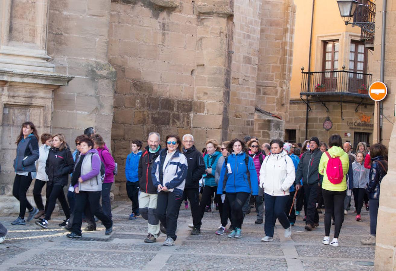 Paseo contra el cáncer