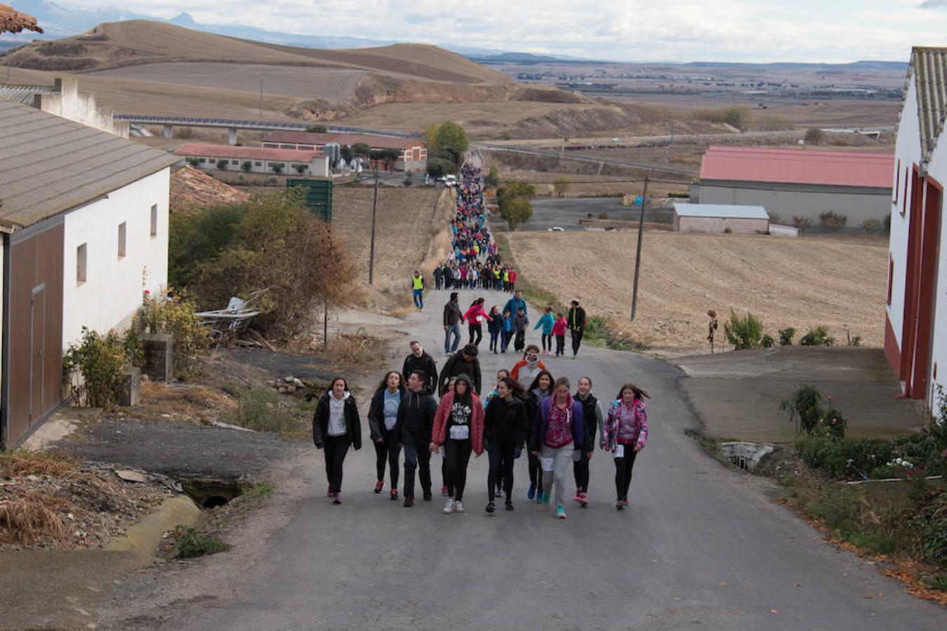 Paseo contra el cáncer