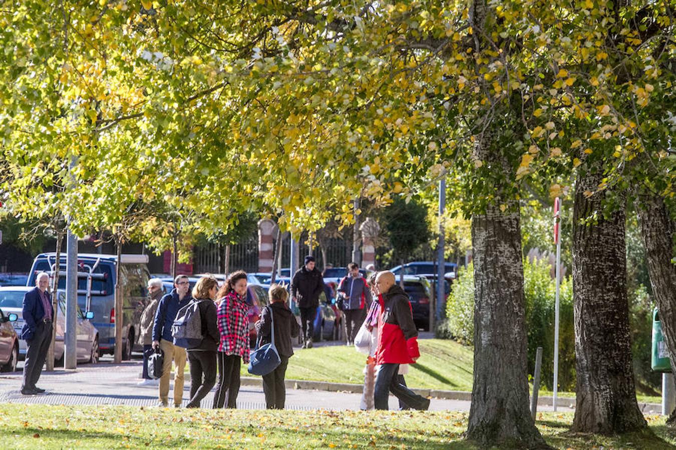 El otoño en Logroño