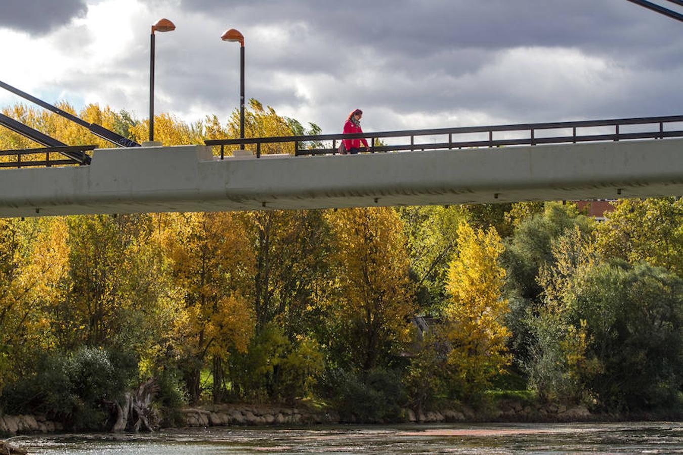 El otoño en Logroño