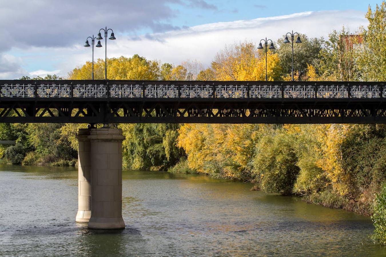 El otoño en Logroño